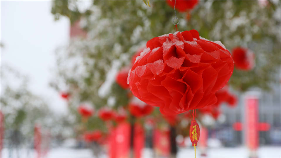 万通雪景